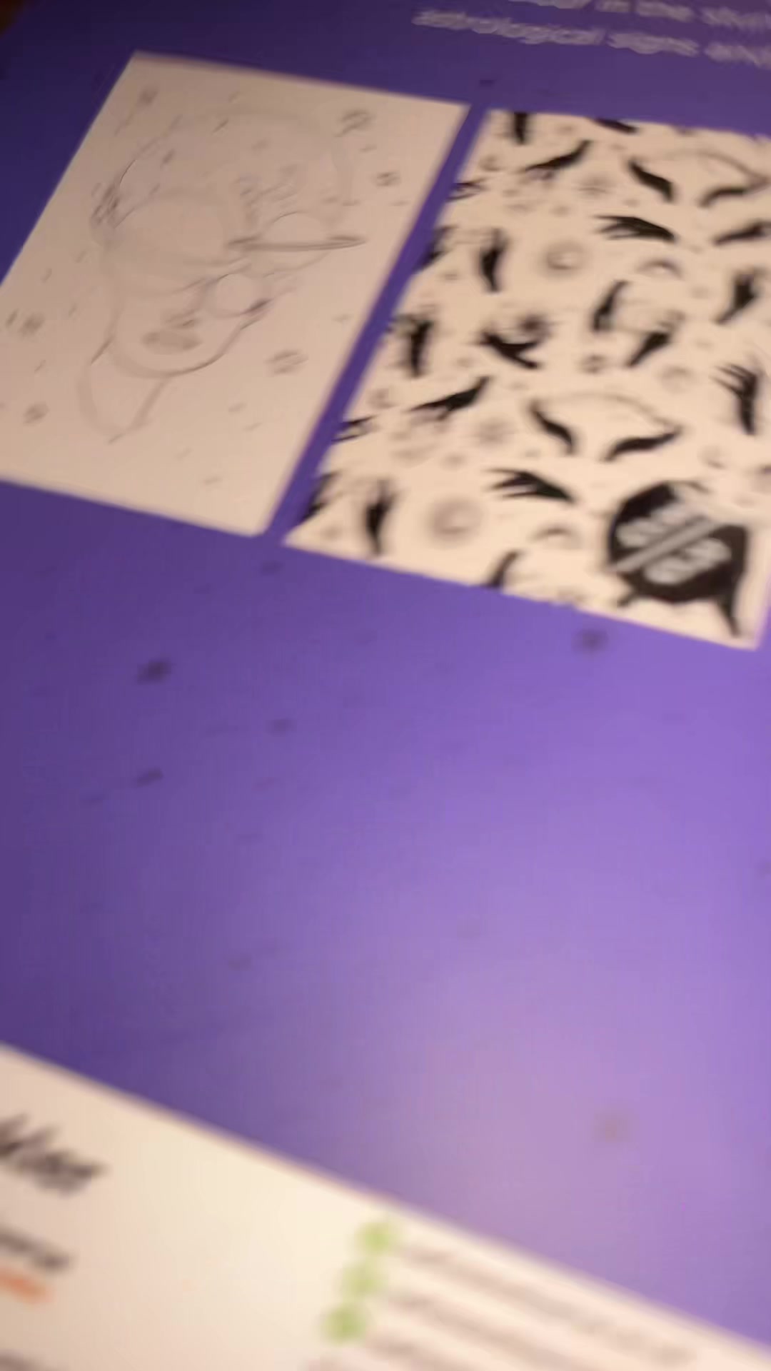 @Awesomepawsome2017