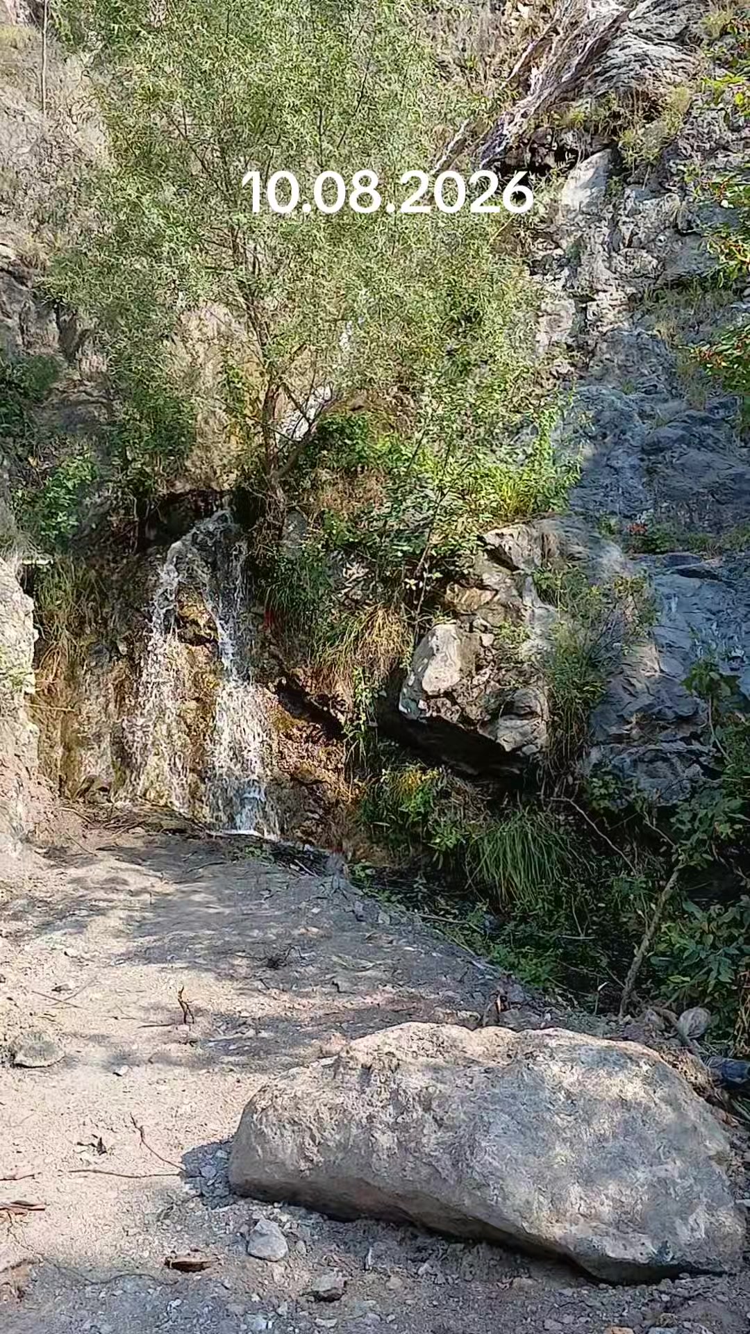 @Yaşar