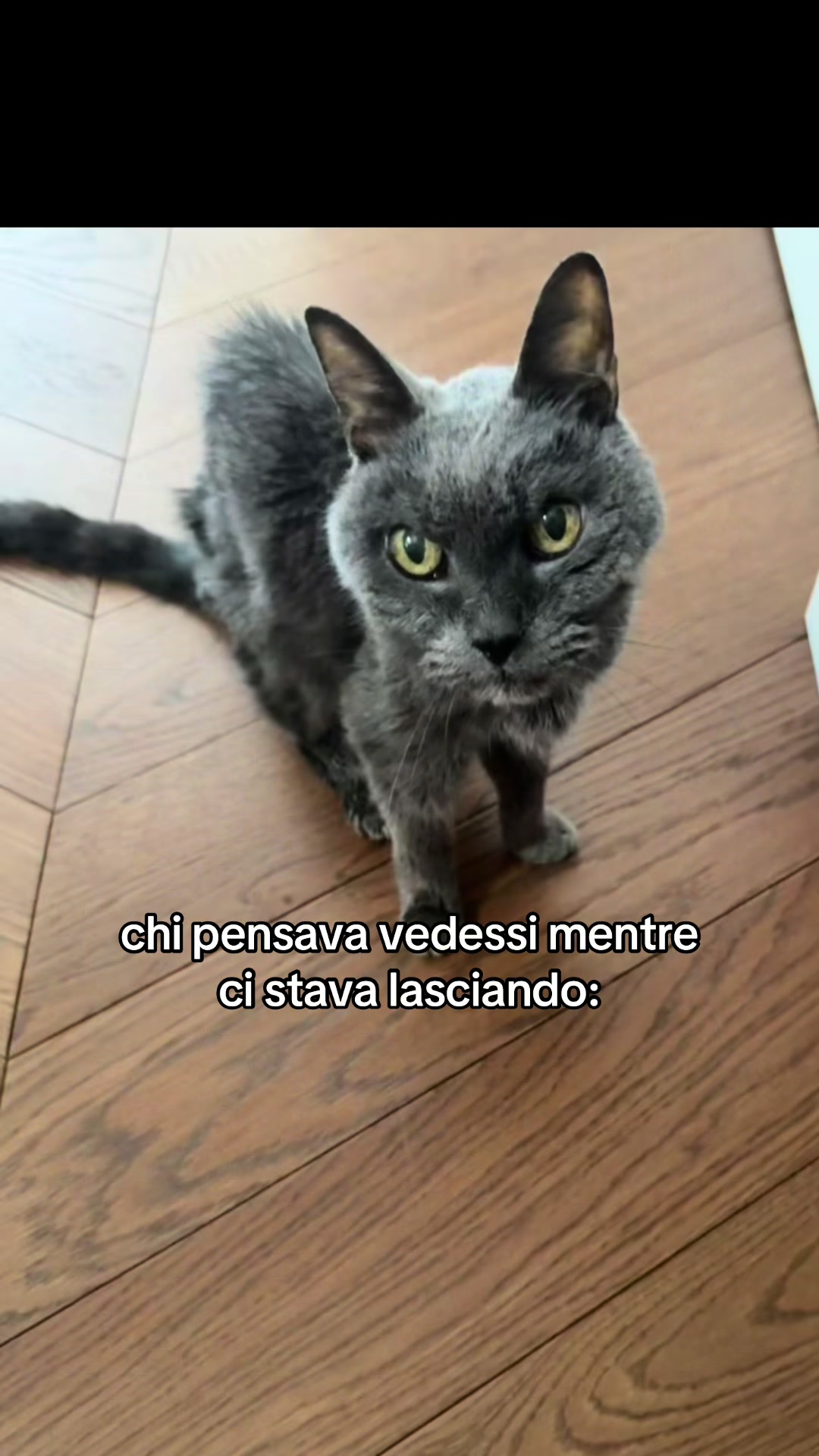 @giulia
