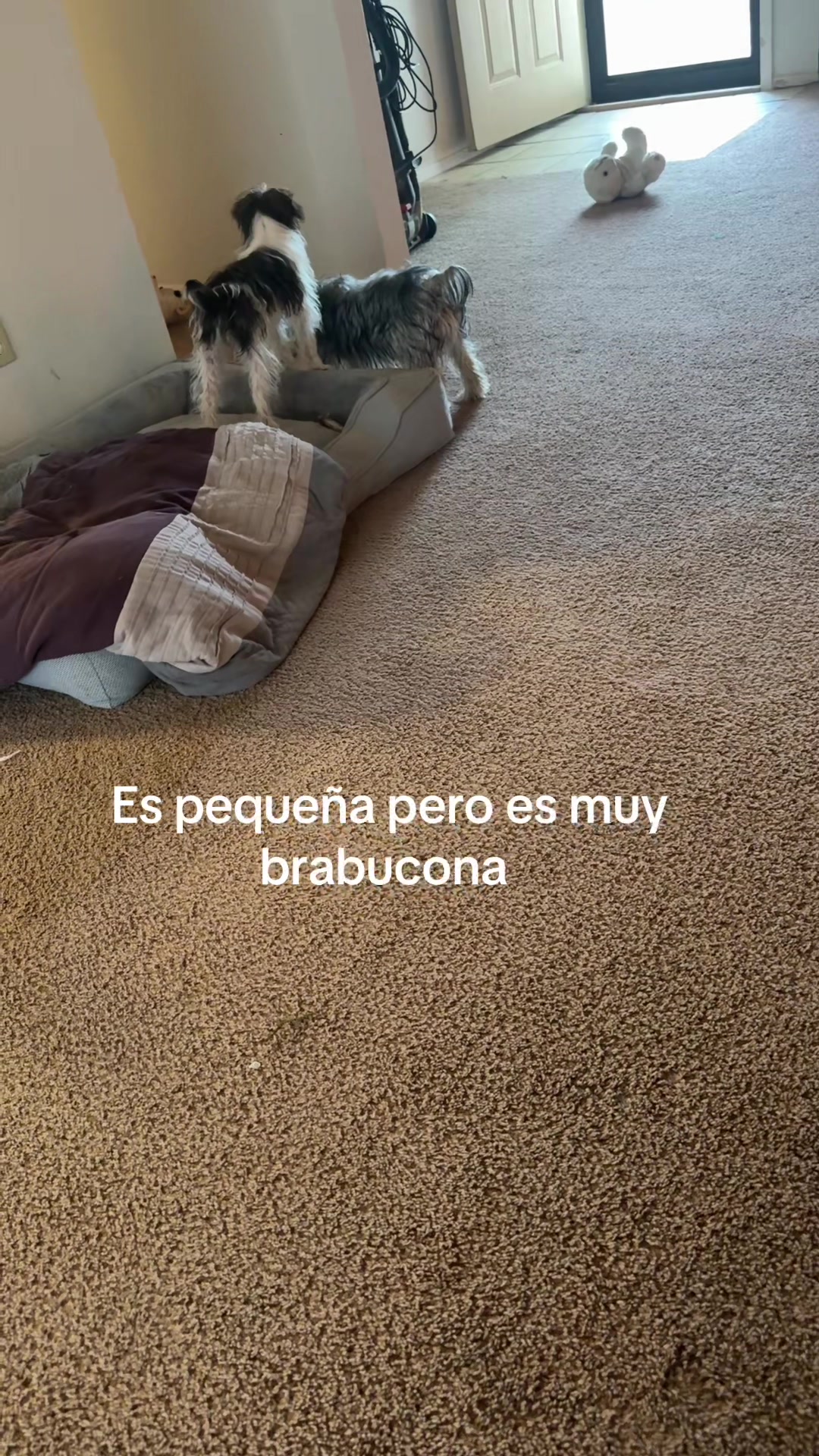 @Isa y Cris
