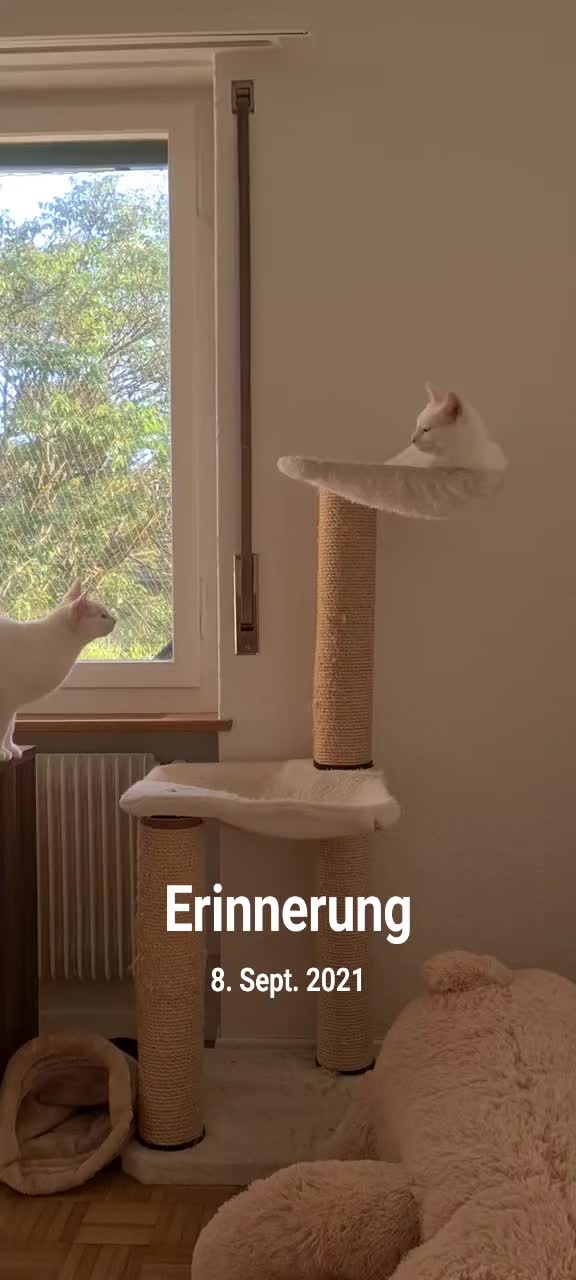 @Sonja