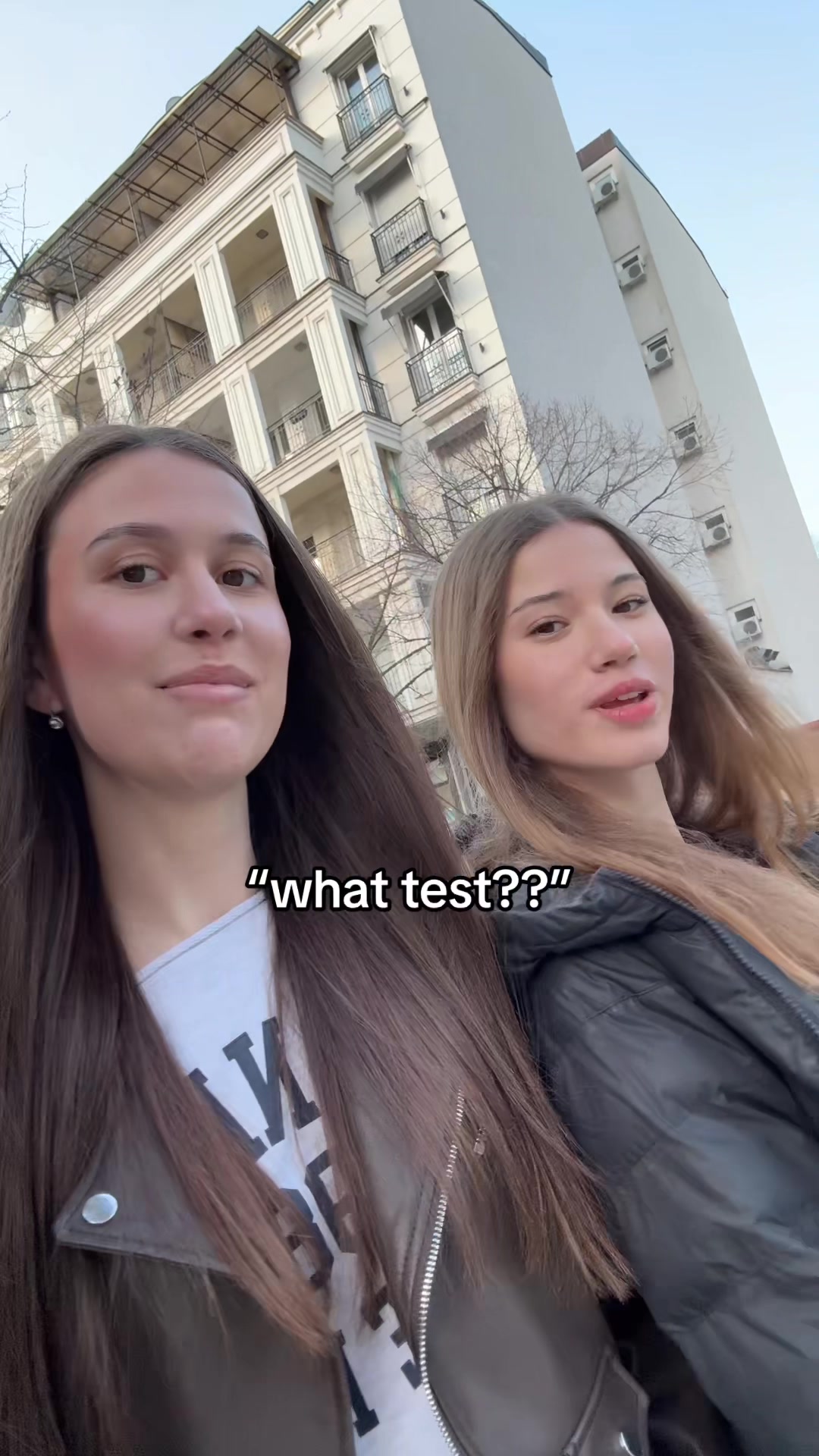 @ćirko🦁
