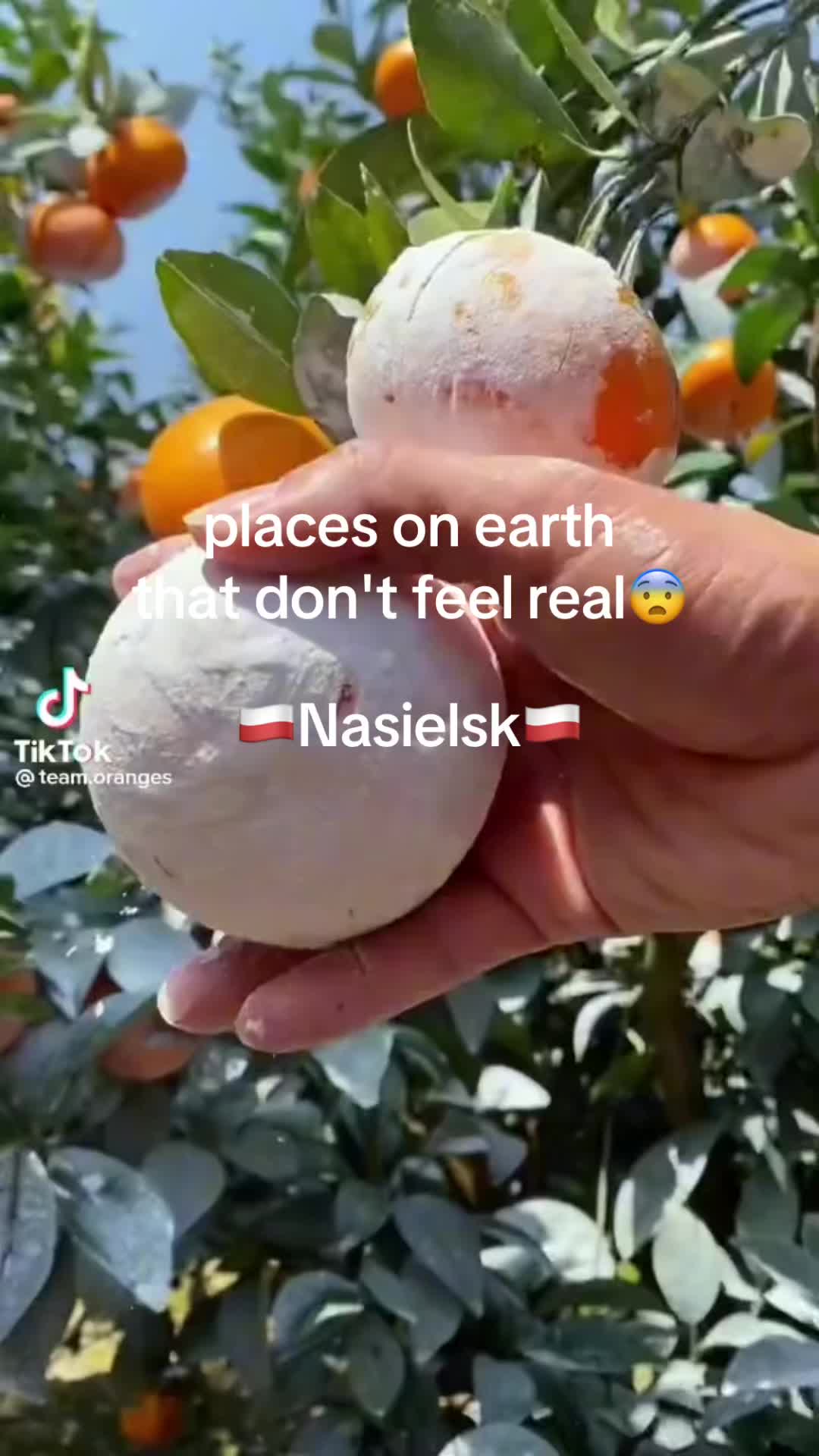 @9bot❤️