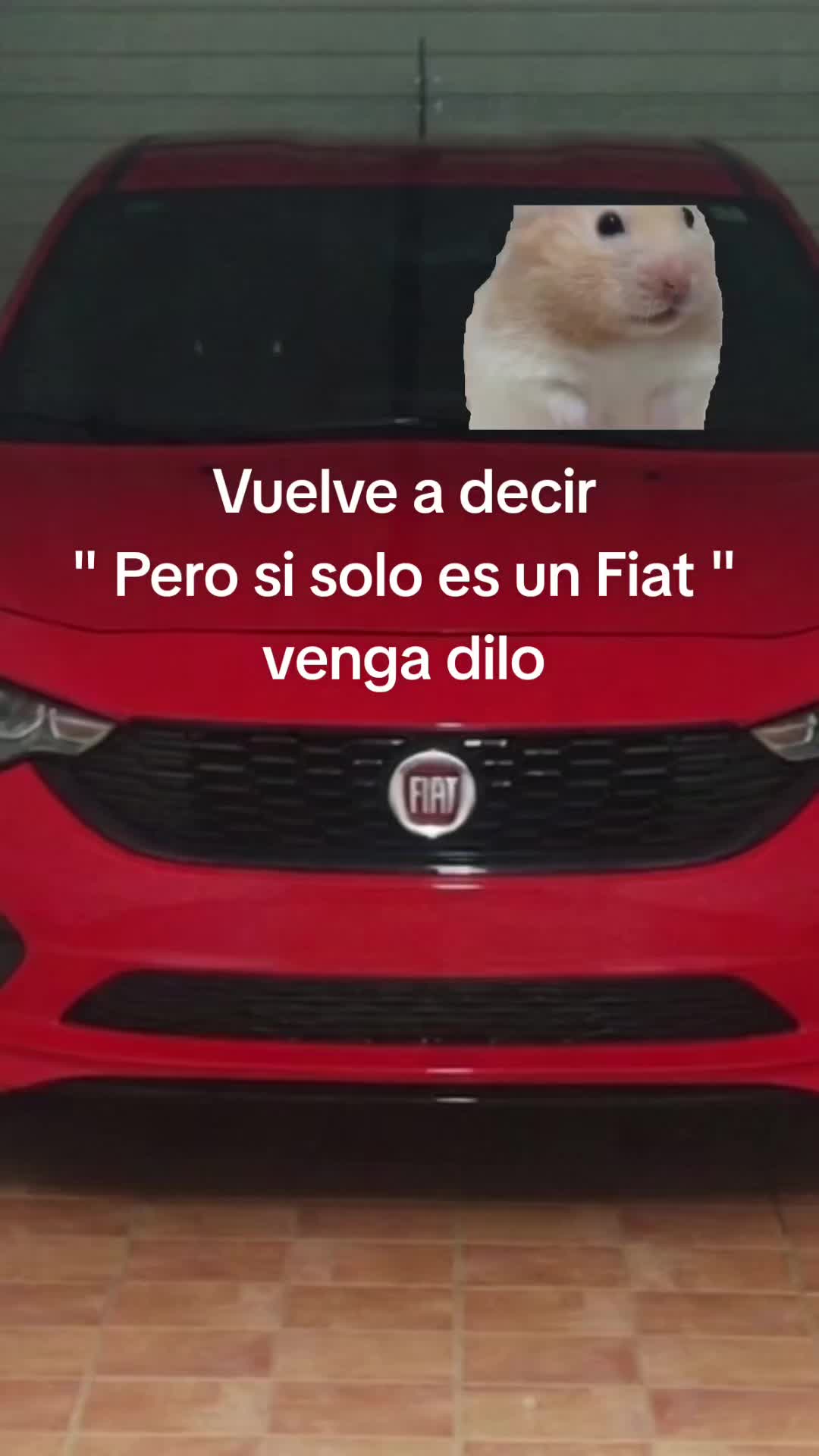 @XexuF1