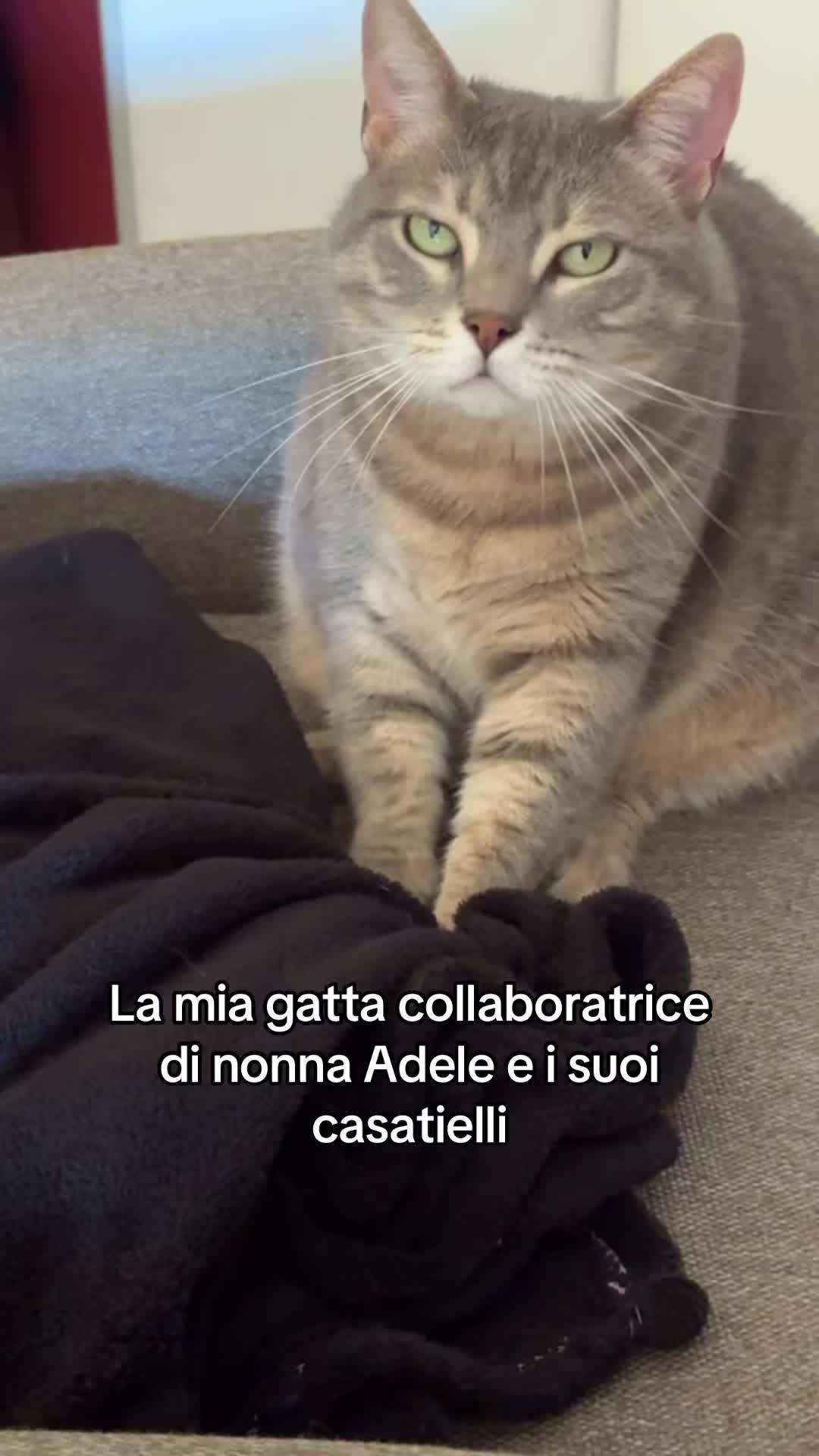 @Michele palmisano