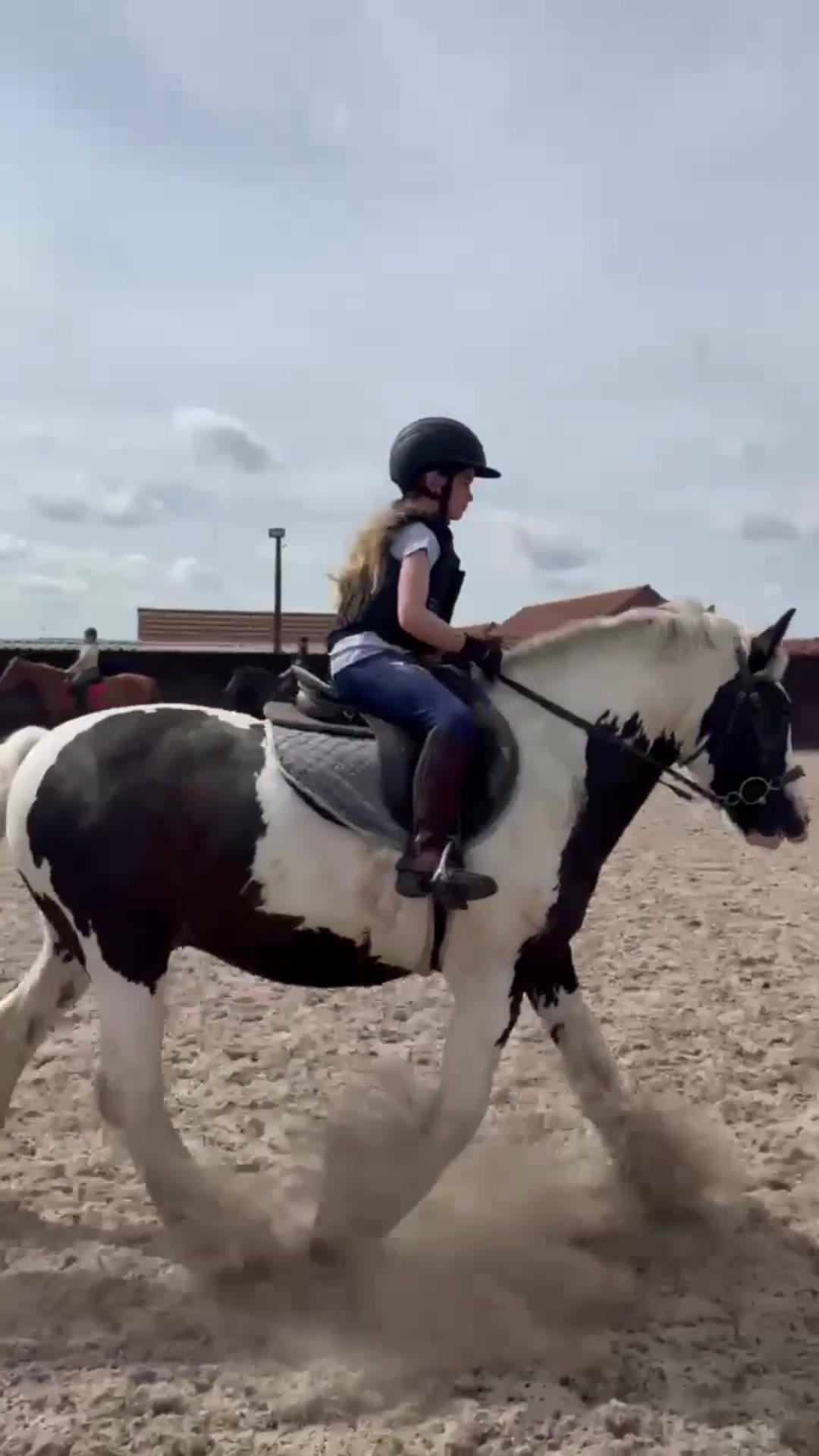 @LottiesHorseAdventures🦄🐴