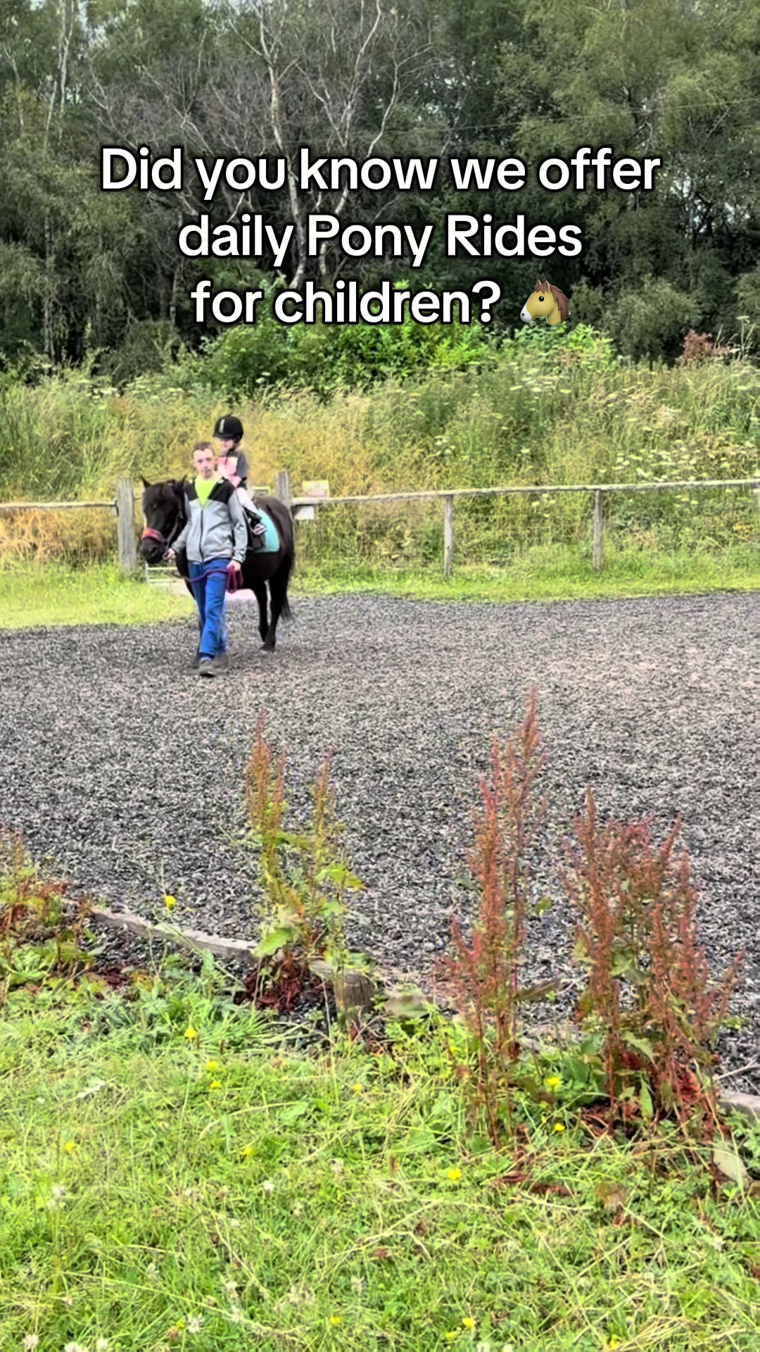 @Matlock Farm Park