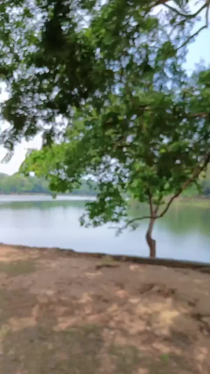 @wanderingheartsasia