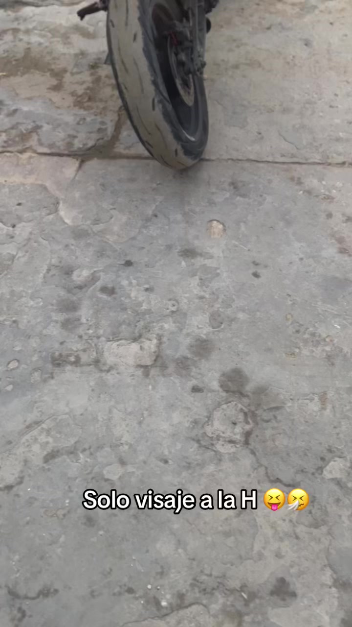 @Josa_🦈