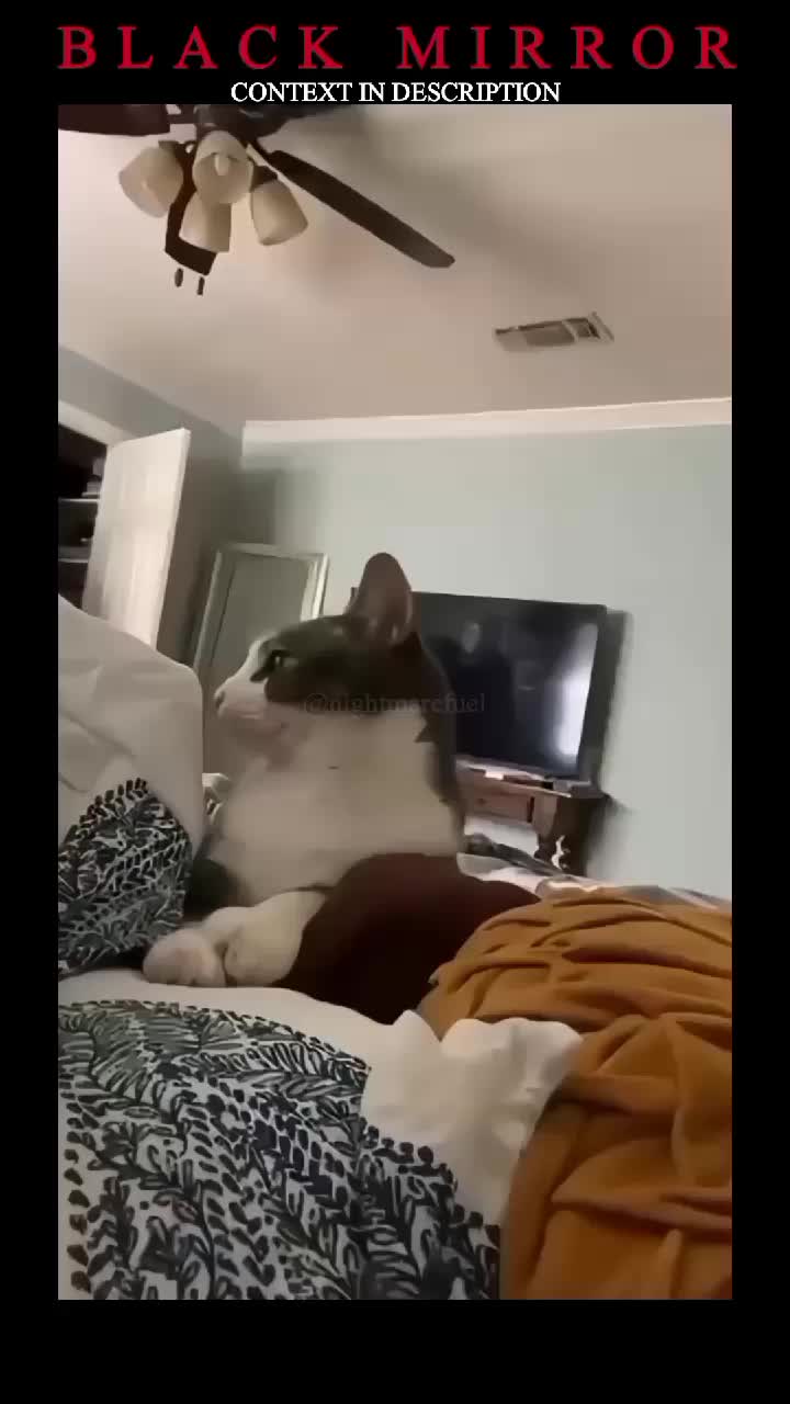@NIGHTMARE FUEL