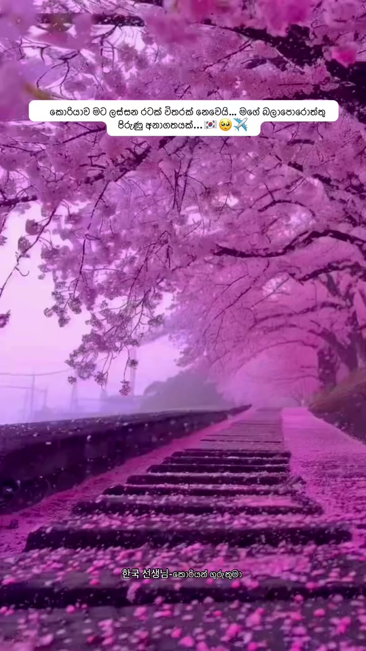 @한국 선생님 -කොරියන් ගුරුතුමා