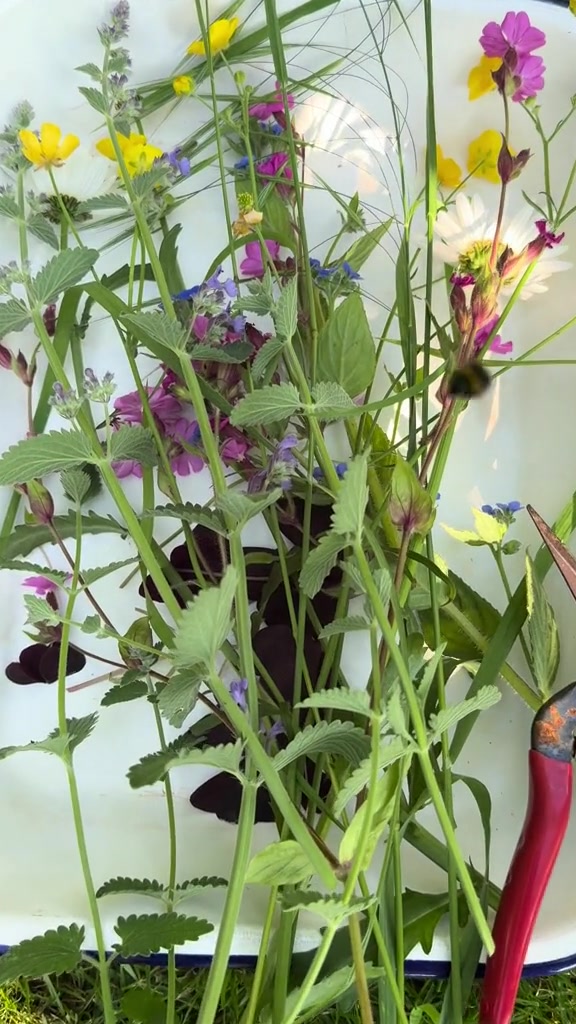 @#gardenerben