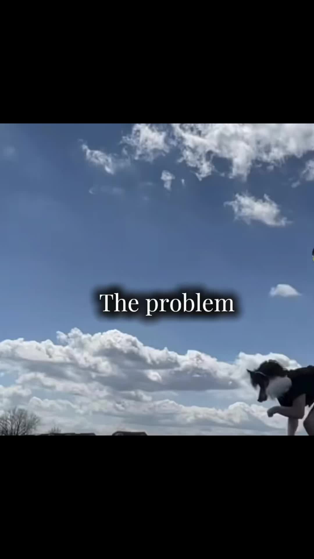 @Mrfish