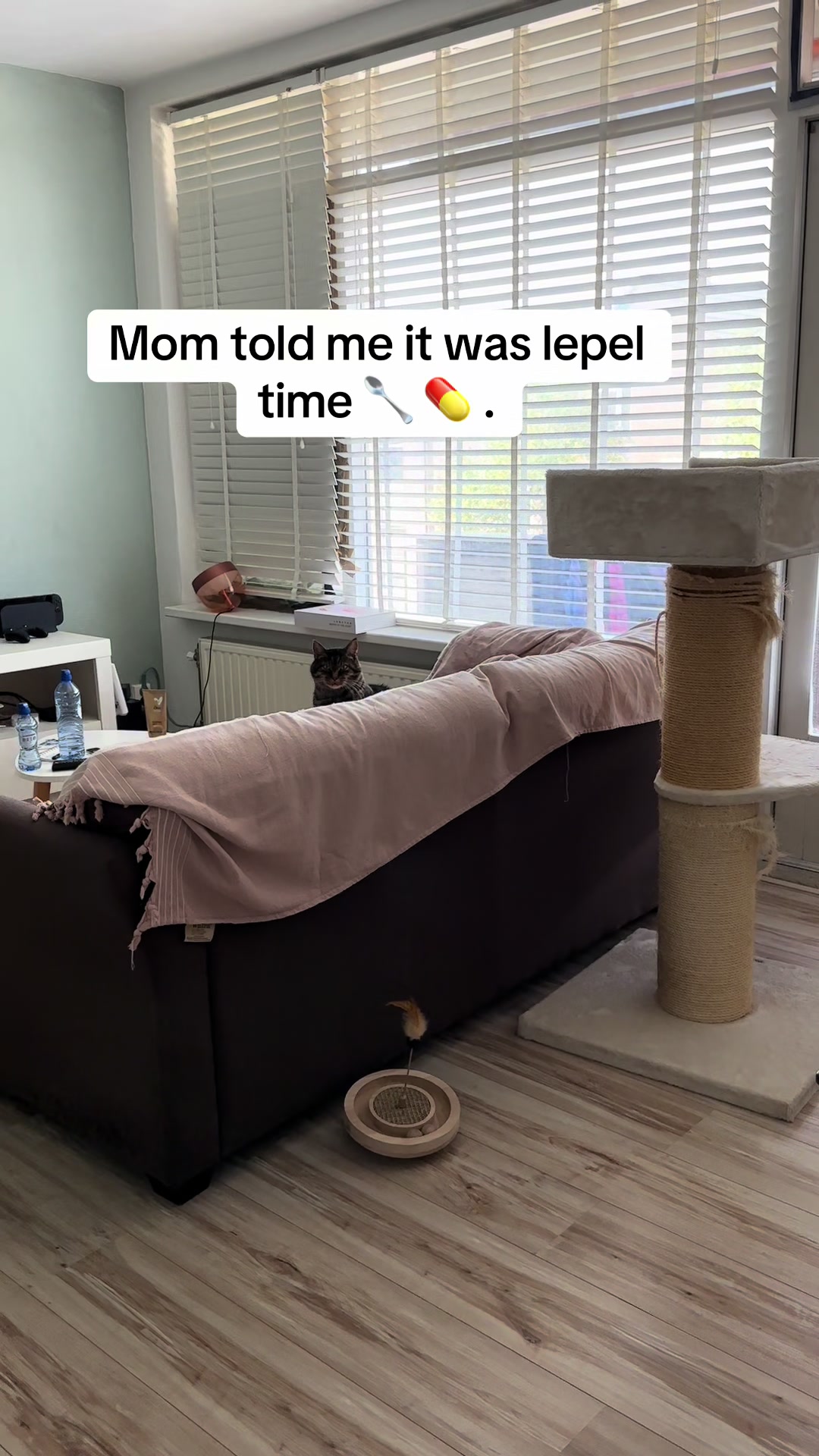 @Joep_the_ rescuecat