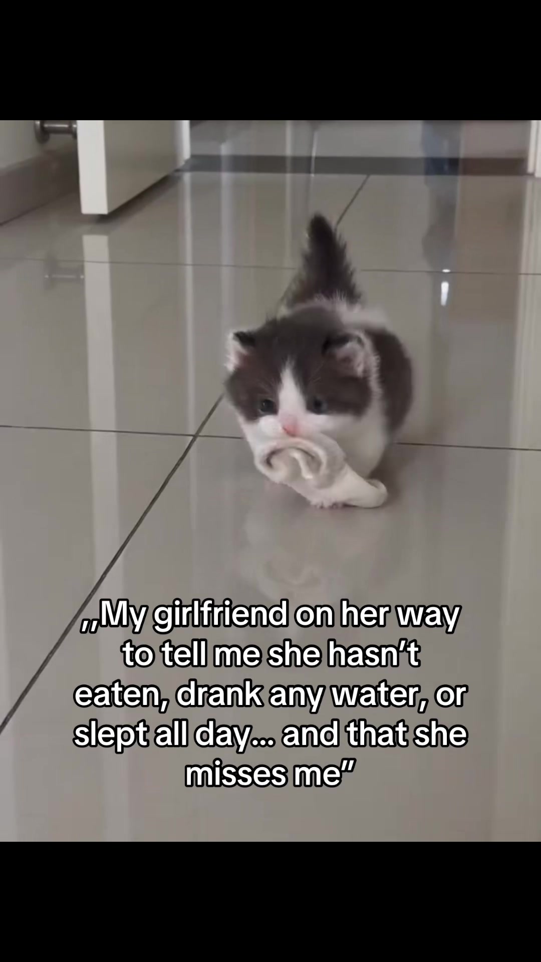 @𝒞𝑜𝒹𝓇𝒾𝓃