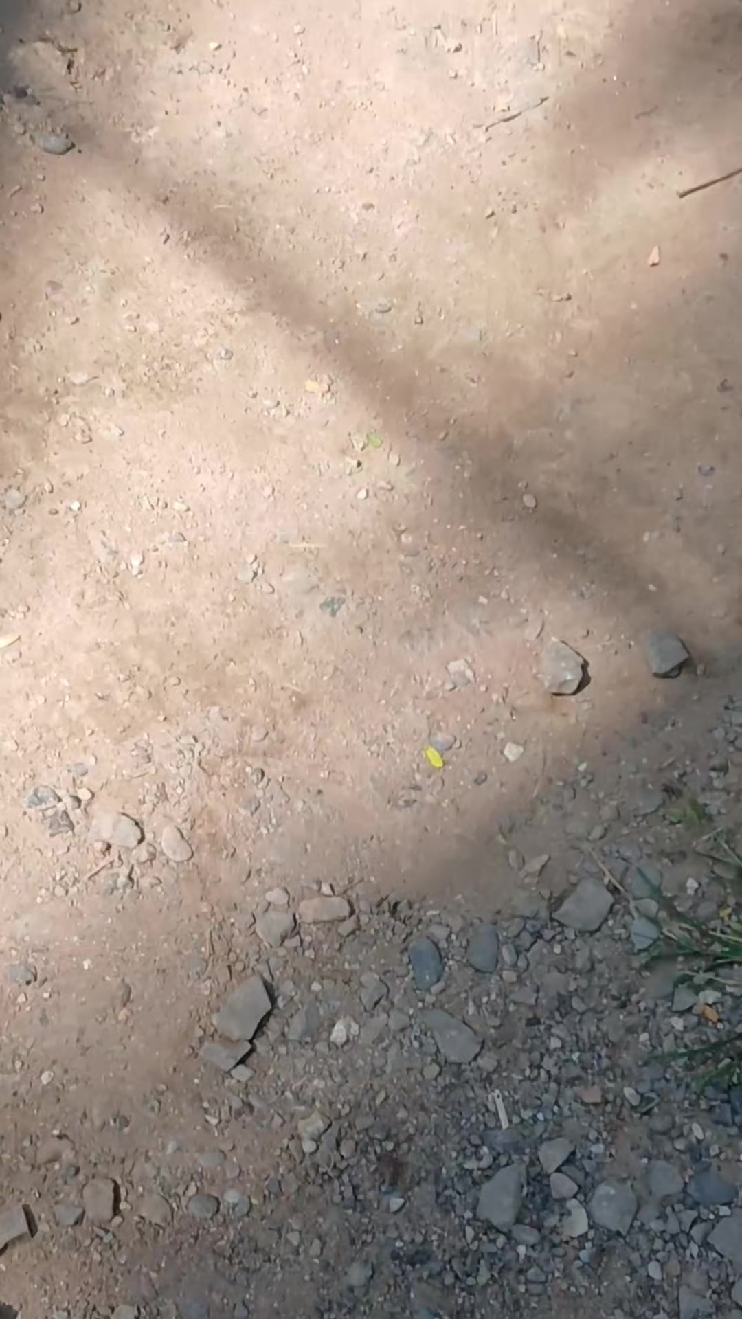 @𝙯𝙖𝙣𝙨