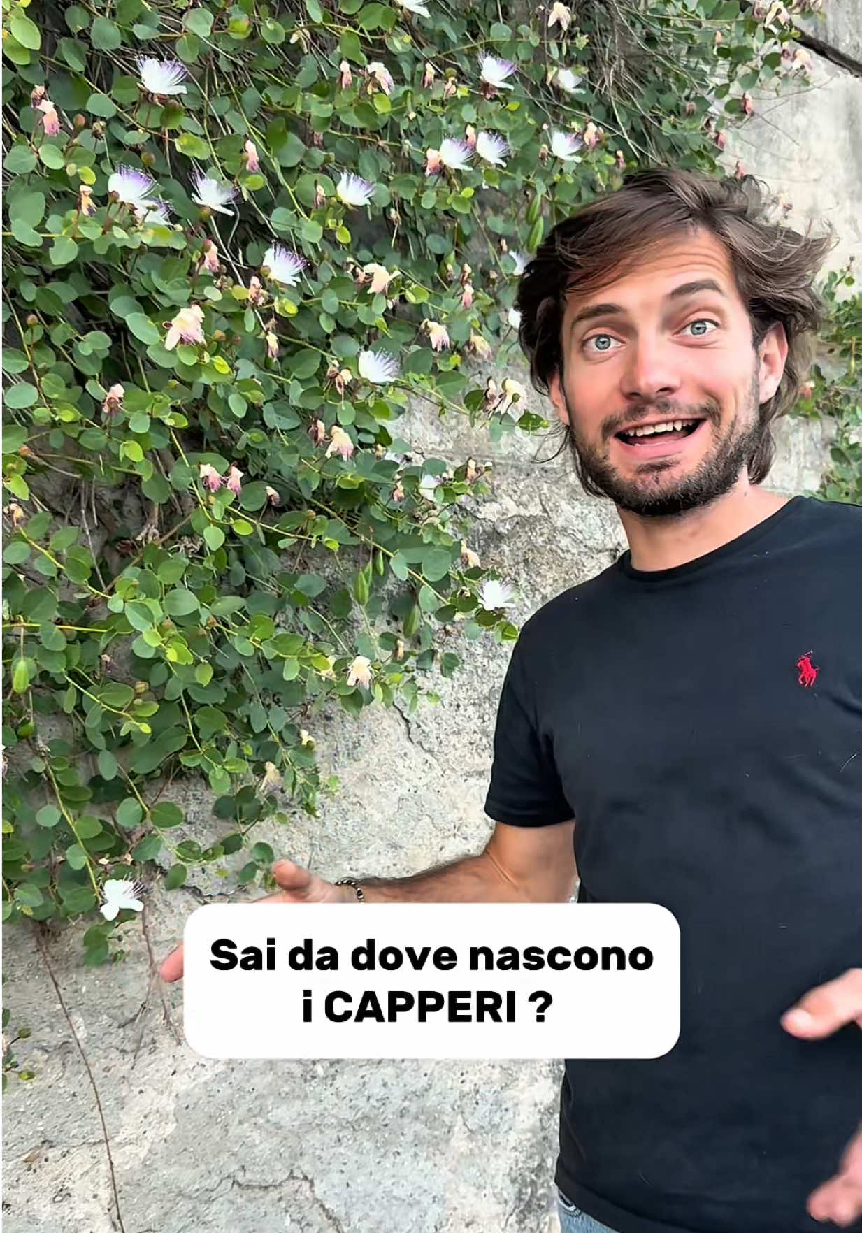 @dolcefattoria