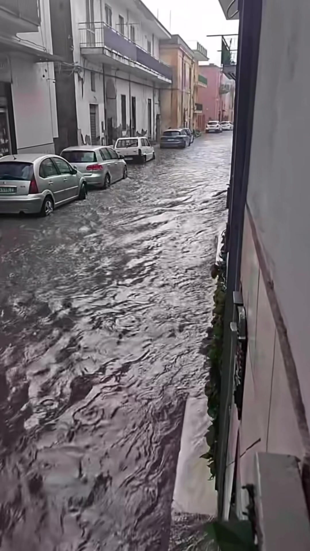 @Cronaca Campania
