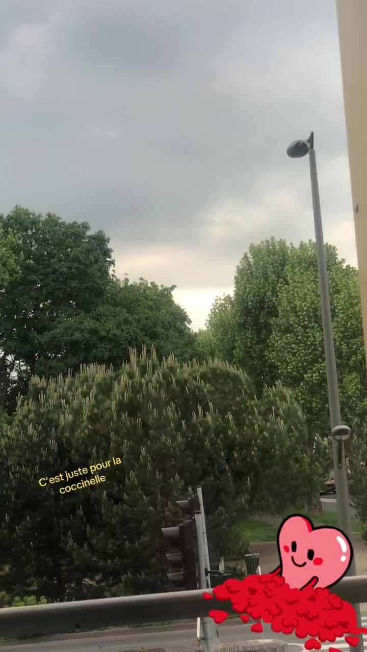 @Sr.a_14🧟