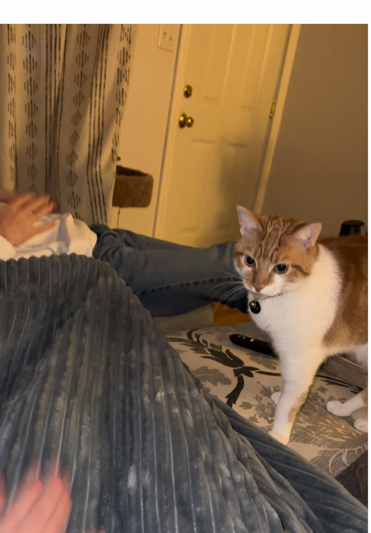 @CornyGorl3