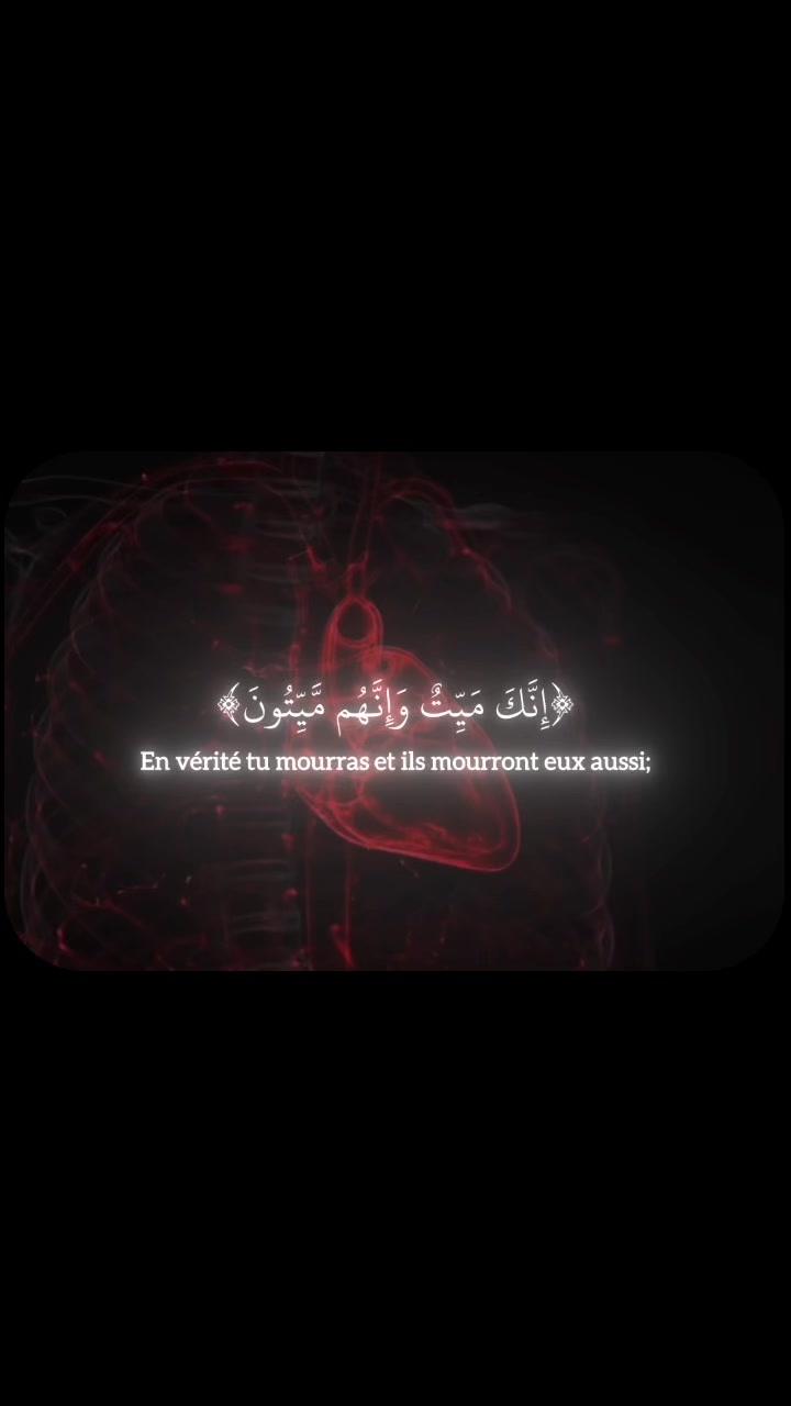 @Quran🤍 Recitation 🎙️