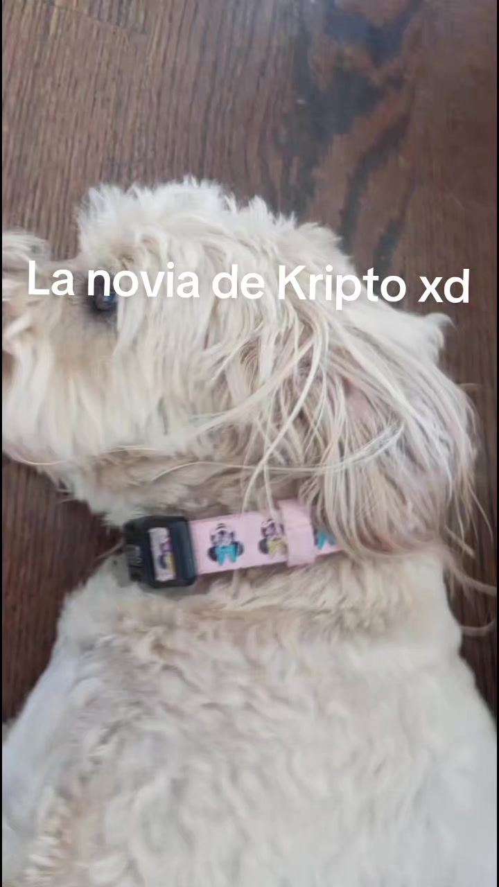 @Fan#1DeJotaFit
