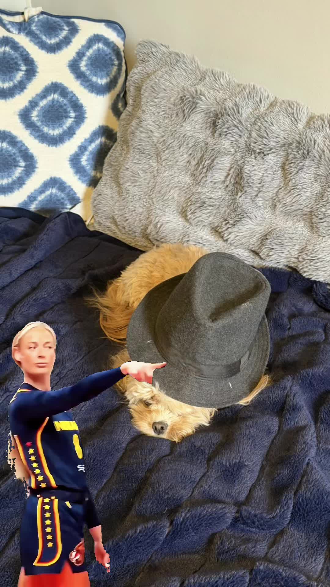 @Zac