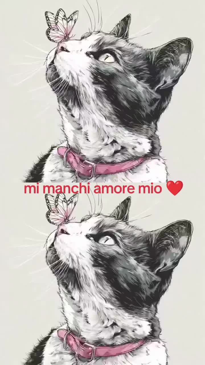 @pina 77