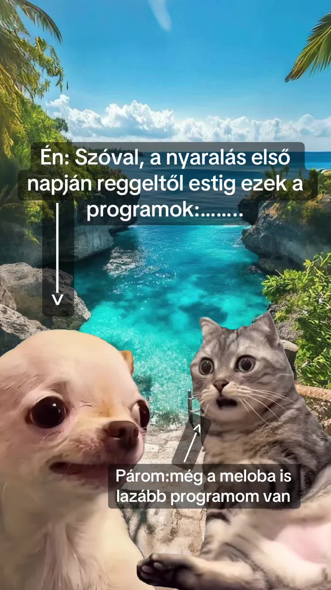 @Niki