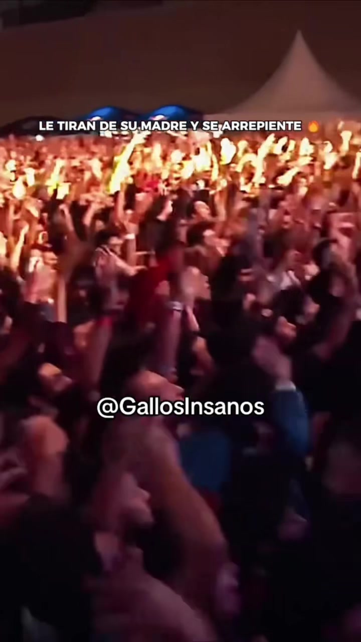 @Gallos Insanos