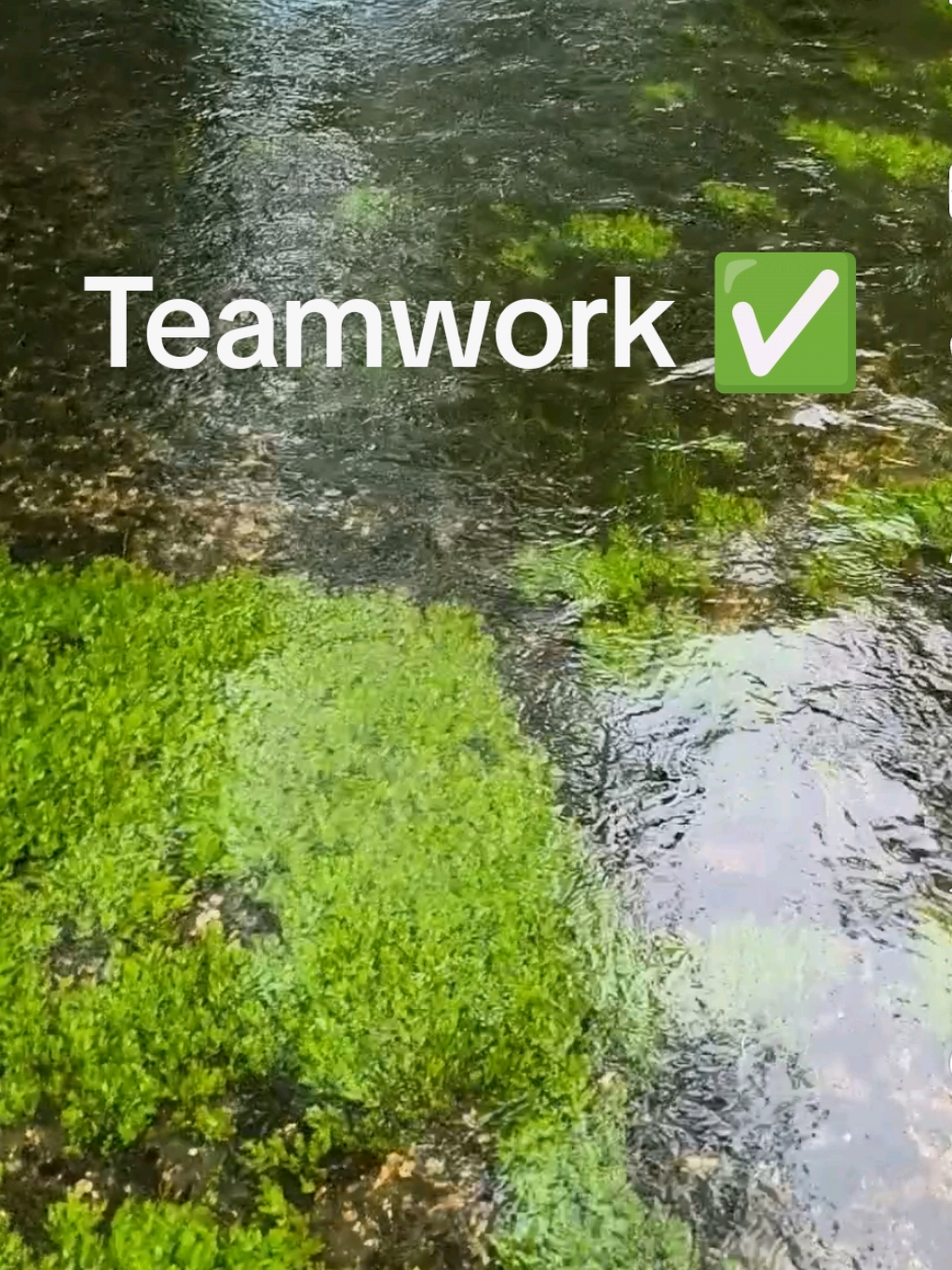 @Teamwork