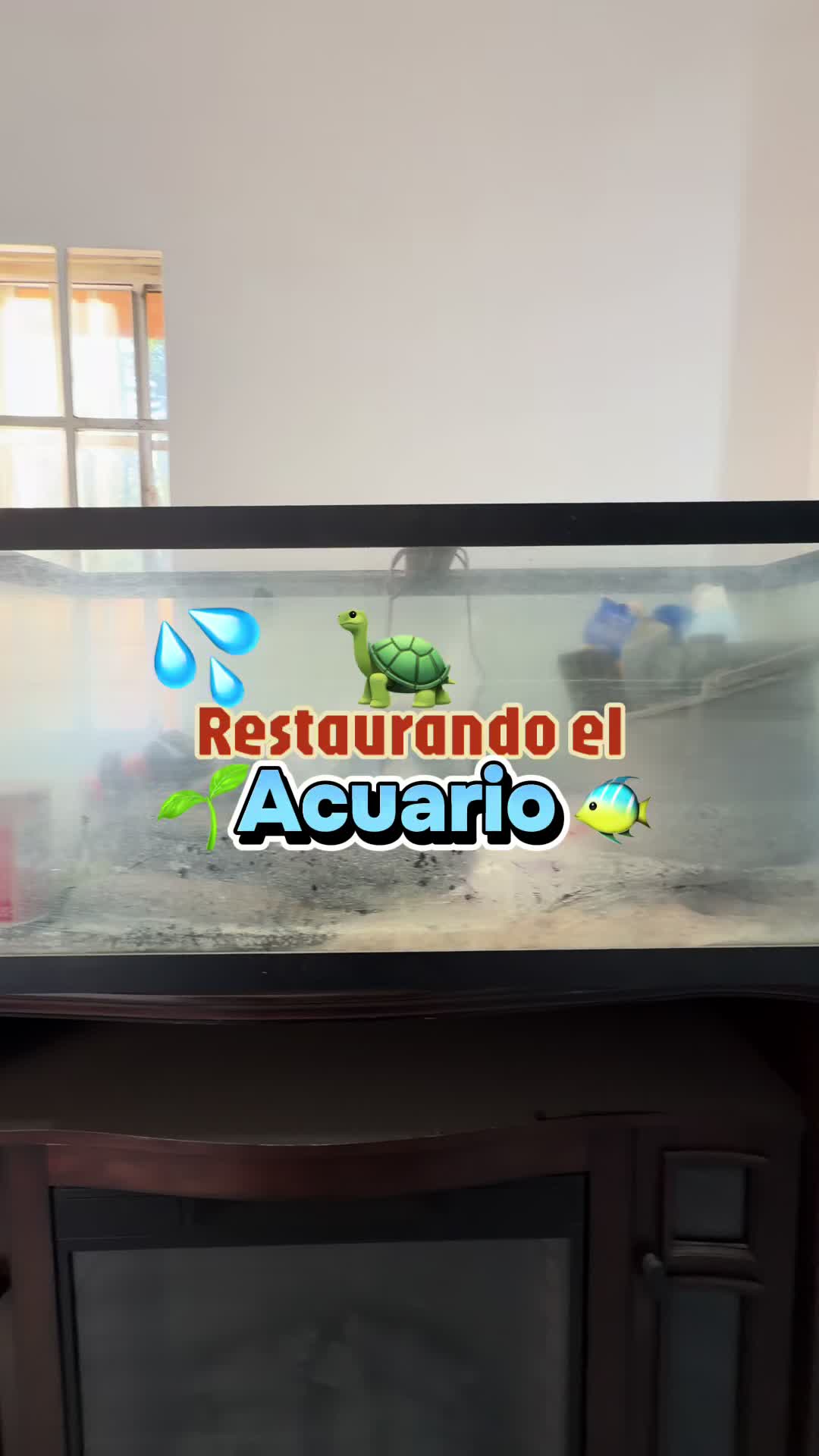 @familiandojuntos