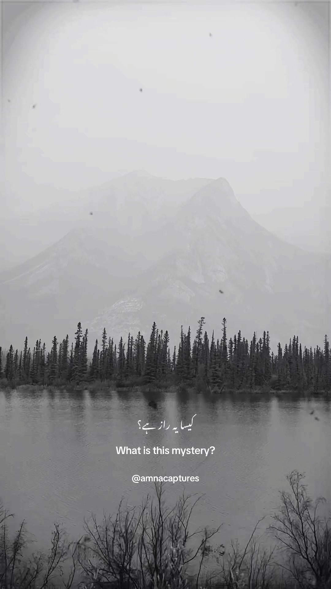 @Nature lover 🇨🇦