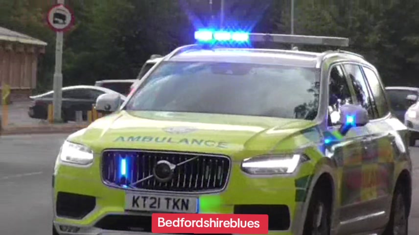 @bedfordshireblues