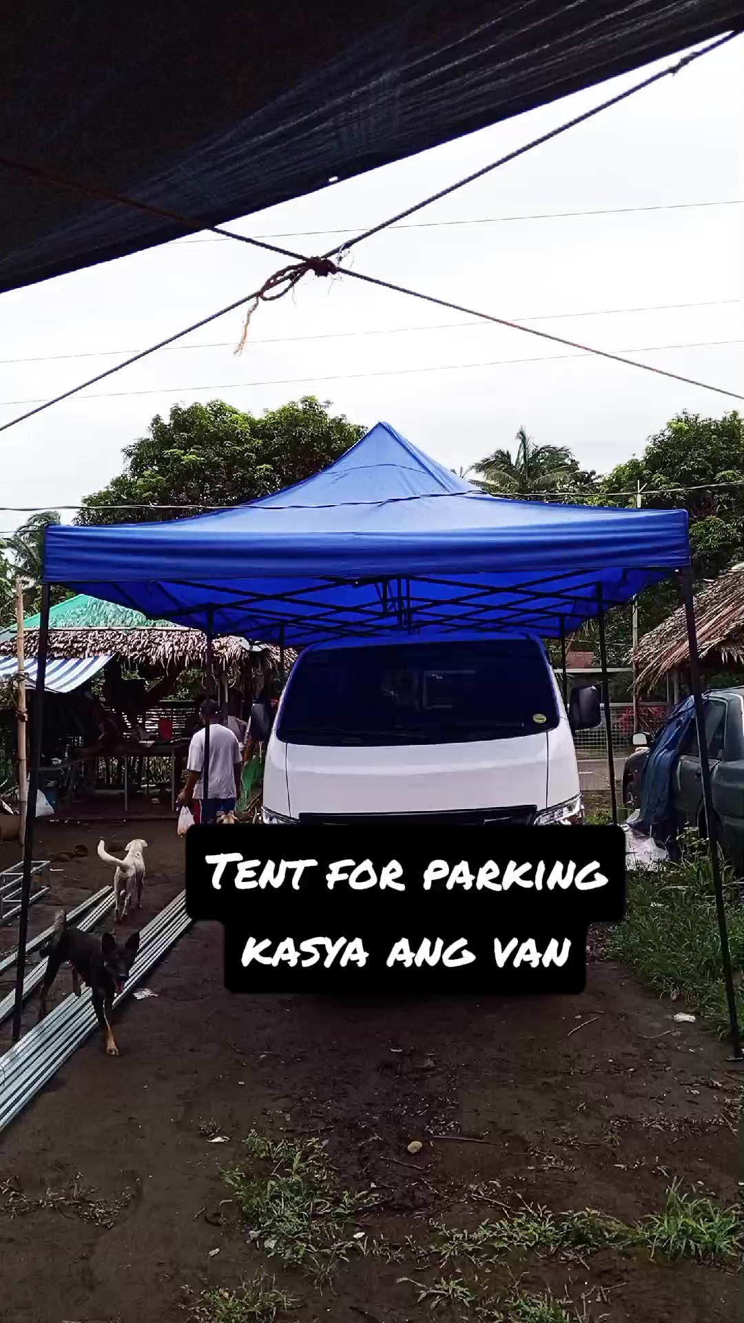 @Lyn Aice