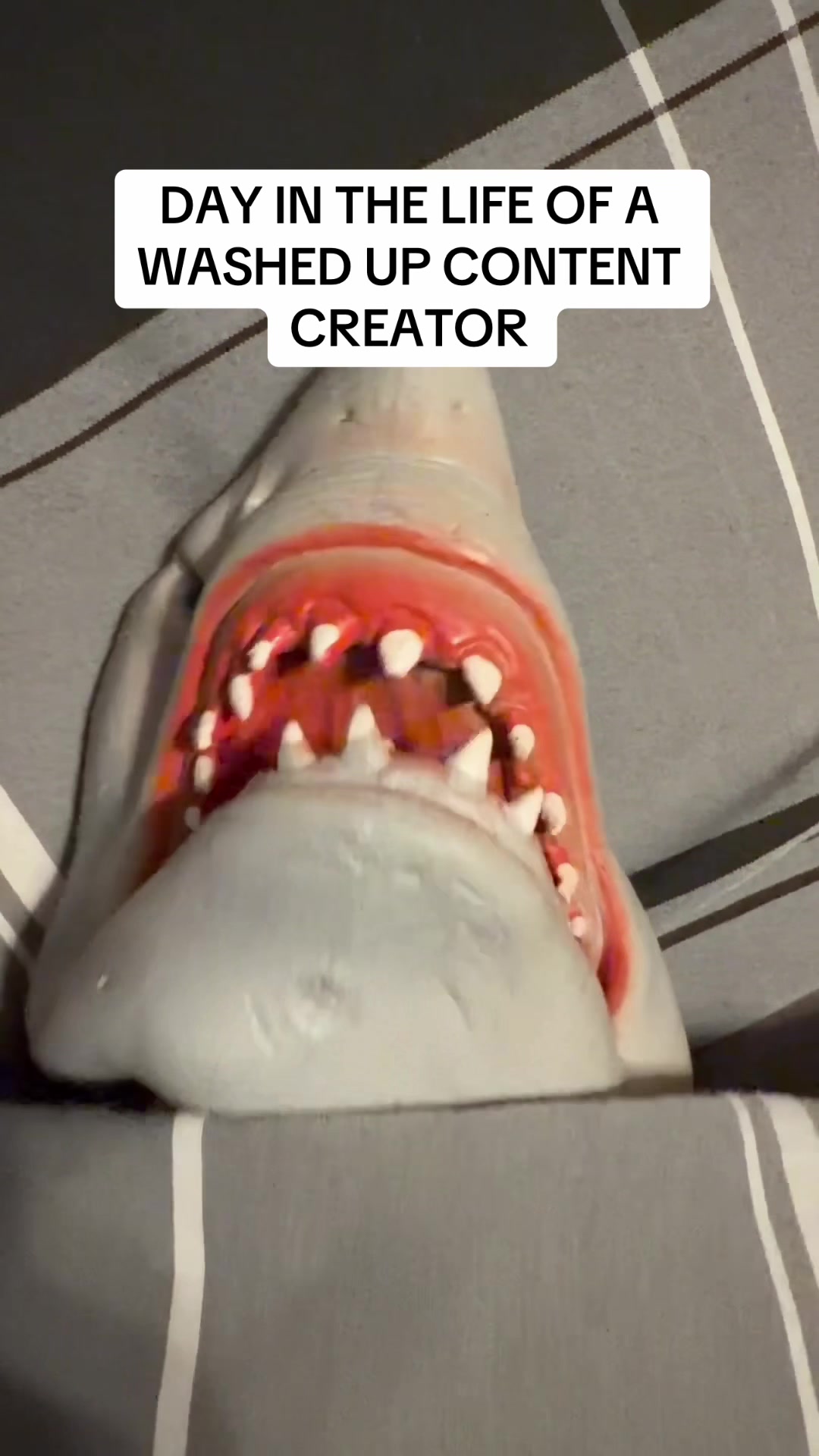 @the.shark.puppet