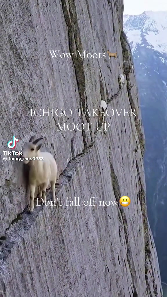 @CollegeDropoutLover🐻