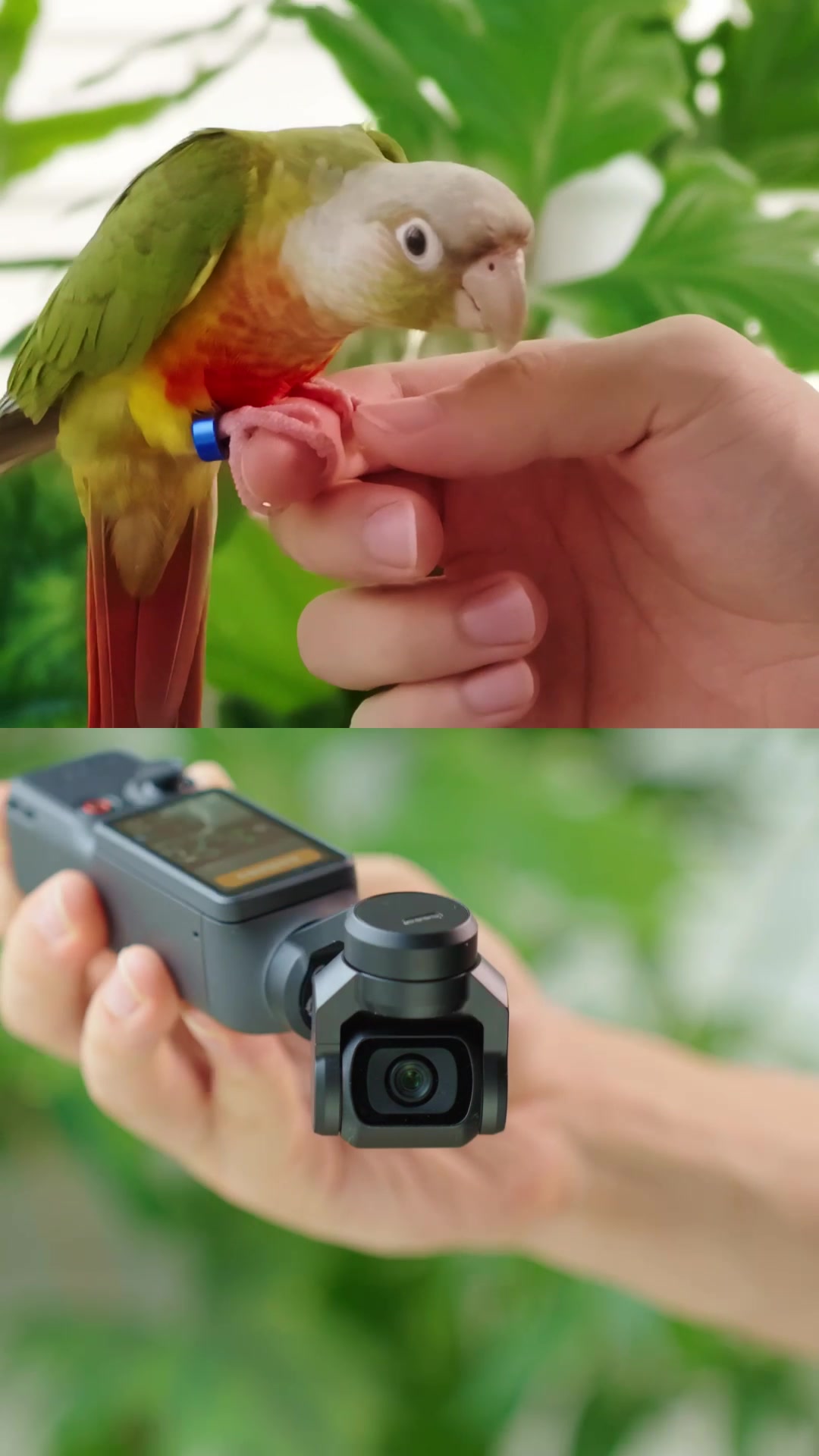 @DJI Official