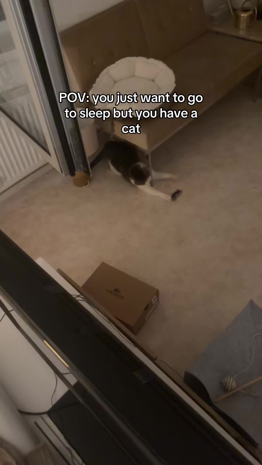 @Vivi