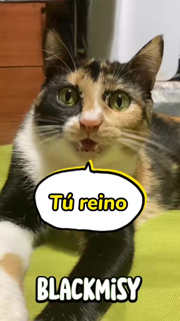 @BlackMisy