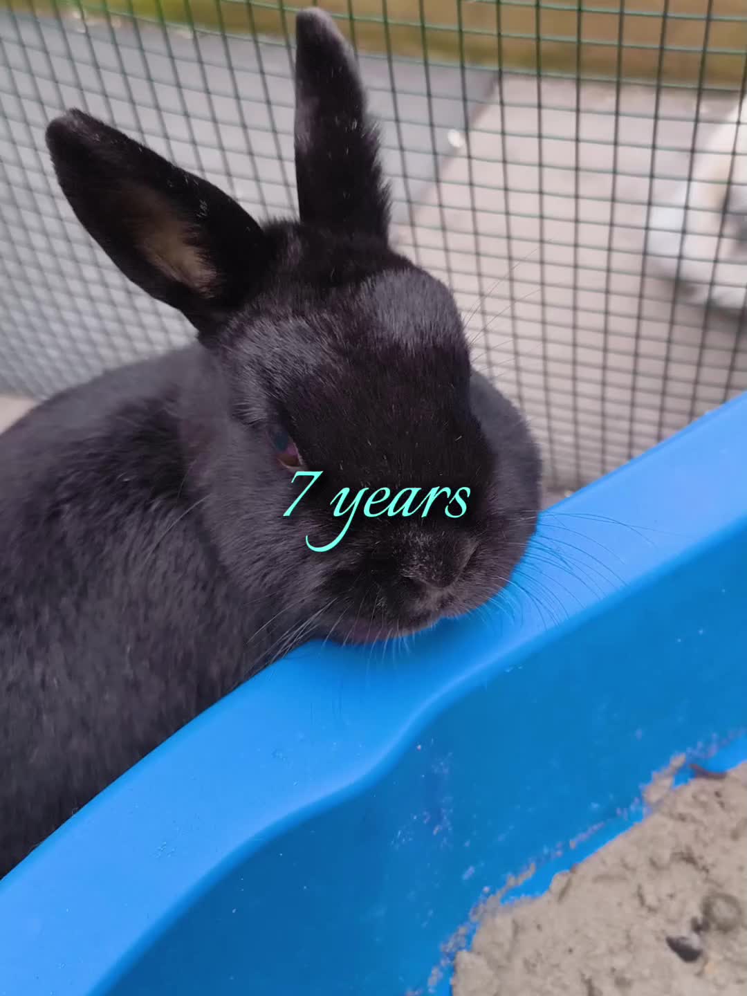 @𝙽𝚘𝚗𝚘❤︎