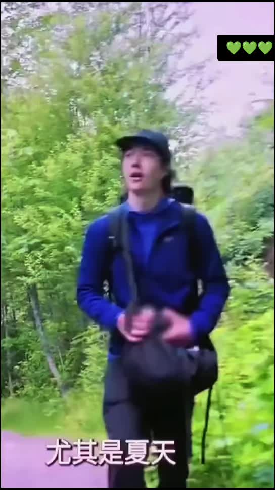@musicismypainkiller24
