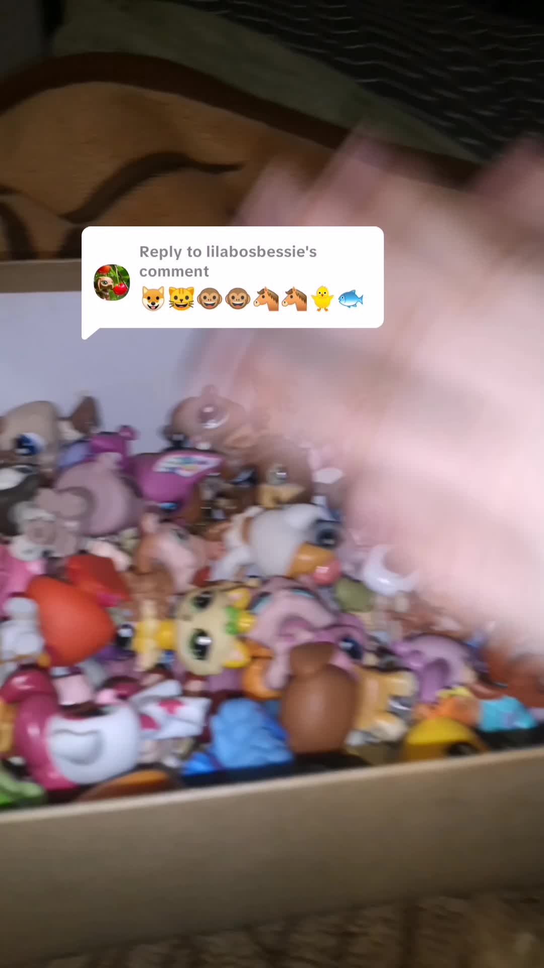 @Lps collecter🌺
