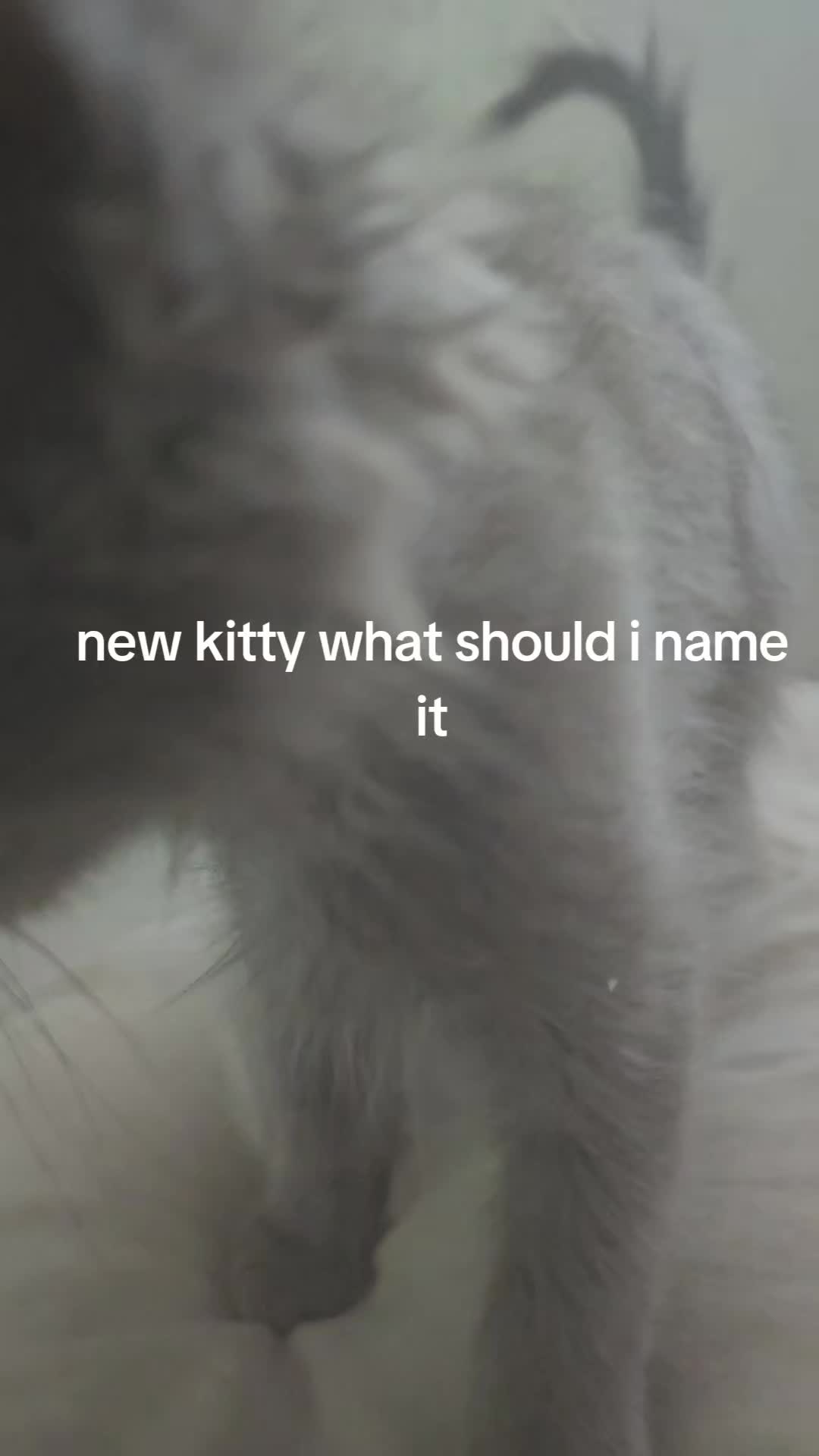 @Joey ( ͡&deg; ͜ʖ ͡&deg;)