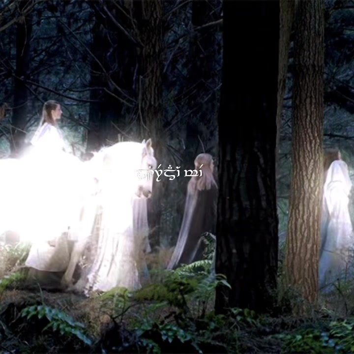 @𓍢ִ໋ 🦋 𝘈𝘦𝘭𝘷𝘦𝘯₊˚⊹