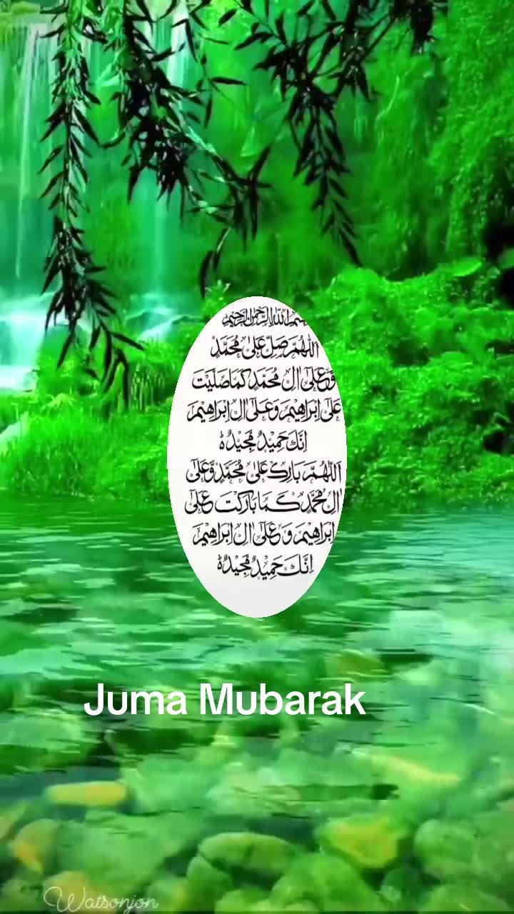 @Dr Neelum Nawaz