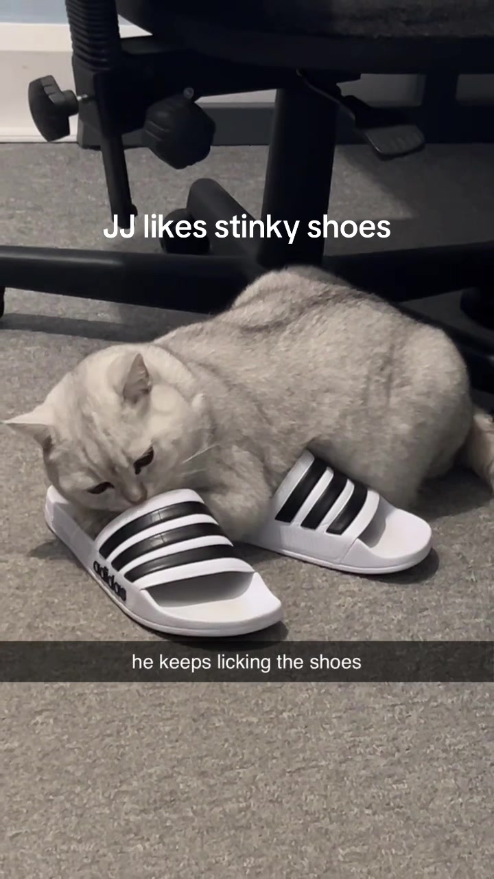 @Sir JJ