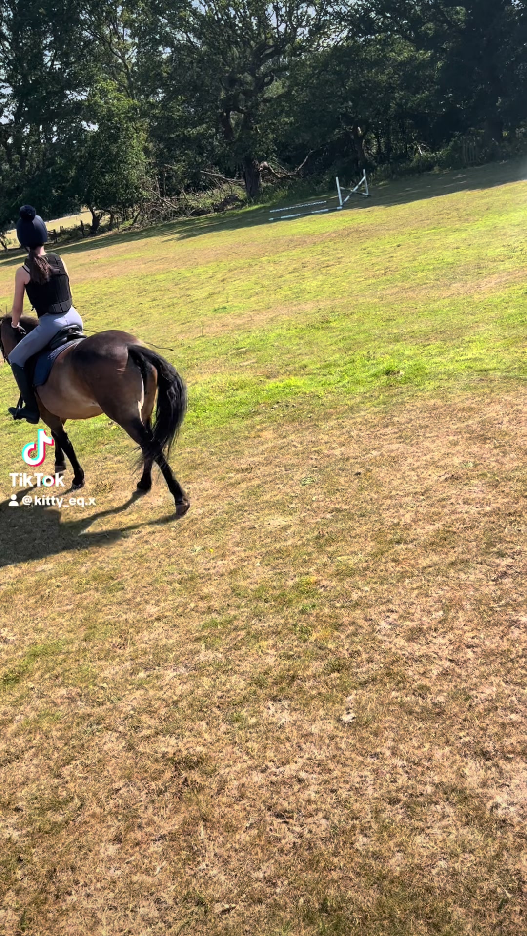 @Kitty equestrian.