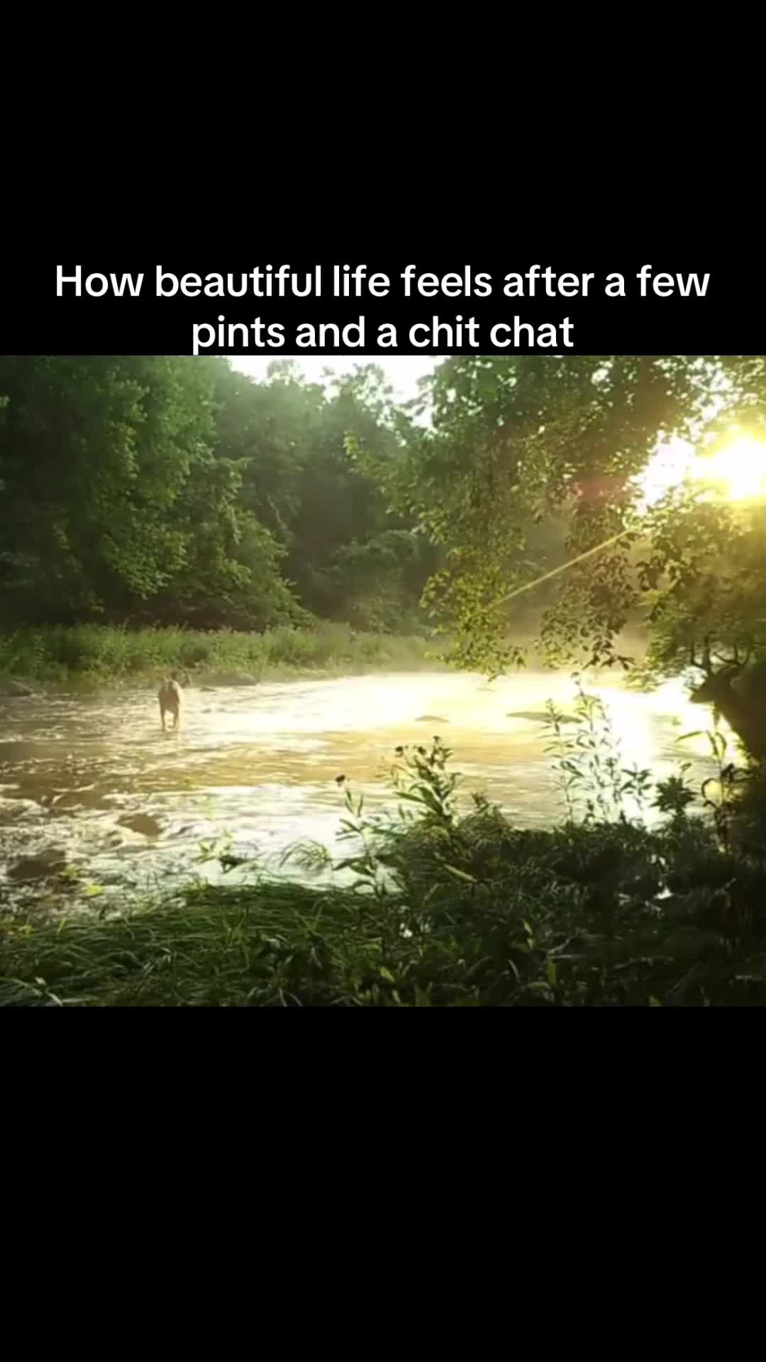 @ledge0679