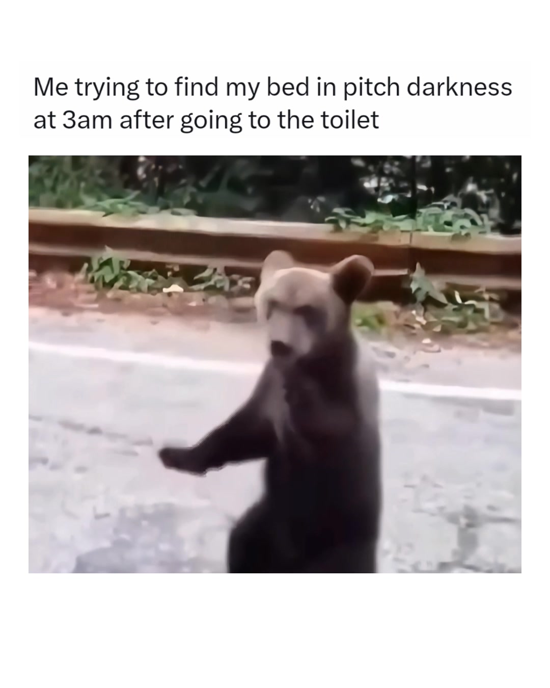 @Memezar